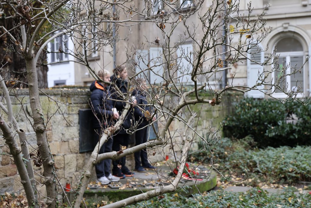 Schüler, halb verborgen hinter einem Baum in Stille